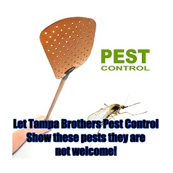 Tampa Brothers Pest Control